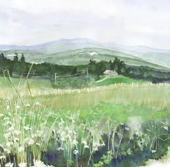 Findlay Art League (Barb Hahn) Barb Hahn: “Meadow” Fine Art Print