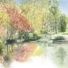 Findlay Art League (Barb Hahn) Art & Artists Barb Hahn: “Pond Behind The Stadium” Fine Art Print