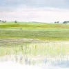 Findlay Art League (Barb Hahn) Barb Hahn: “Wet Fields” Fine Art Print