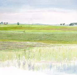 Findlay Art League (Barb Hahn) Barb Hahn: “Wet Fields” Fine Art Print