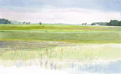 Findlay Art League (Barb Hahn) Barb Hahn: “Wet Fields” Fine Art Print 1 Findlay Art League (Barb Hahn) Barb Hahn: “Wet Fields” Fine Art Print