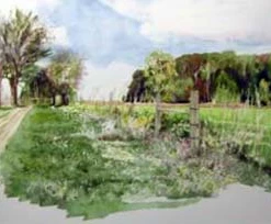 Findlay Art League (Barb Hahn) Barb Hahn: “Wise Acre Farm” Fine Art Print Art & Artists