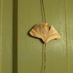Jim Killebrew (Findlay, OH) Local Artist Of The Week: Jim Killebrew-Ginkgo Wall Hanging
