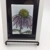 Odette Monaghan (Findlay, OH) Odette Monaghan "Echinacea 2" Fused Glass Picture Art & Artists