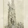 Phil Sugden: Tree Trunk; Ink On Paper
