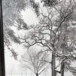 Findlay Art League (Jim Pilbeam) Jim Pilbeam: "Winter Scene" Photograph