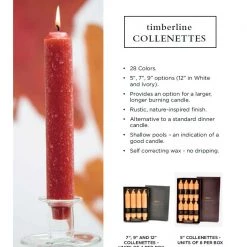 Root Candle Co. Root 7" Collenette Unscented Beeswax Blend Dinner Candles (Box Of 4)
