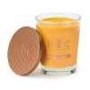 Root Candle Co. Root Tangerine Lemongrass Scented Large Candle Household