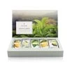 Household Tea Forte "Single Steeps" Essential Greens Loose Teas
